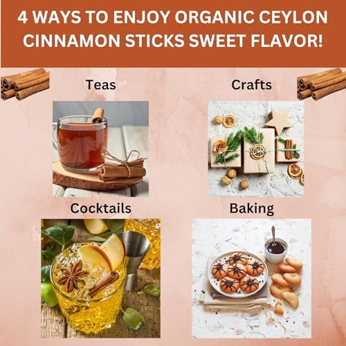 SPICY ORGANIC Ceylon Cinnamon Sticks 4 oz – True Cinnamon Quills from Sri Lanka, 3.5" Premium Ceylon Cinnamon, USDA Certified Organic, Perfect for Recipes, Crafts & Holiday Drinks – Cinnamomum Verum