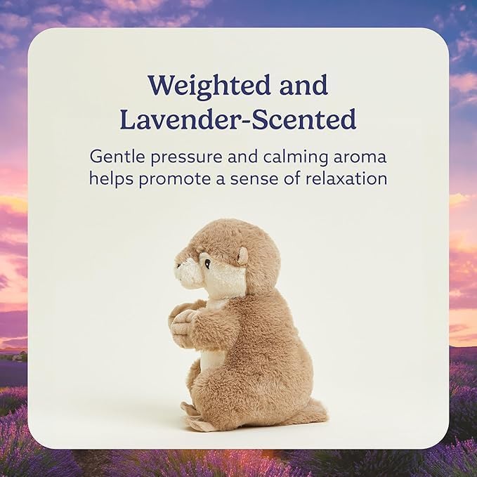 warmies Microwavable & Weighted Stuffed Animals, Otter - Heated Stuffed Animal Plushie for Warmth & Comfort - Cute Soft Plush Toys for Adults & Children (Boys, Girls, Babies & Toddlers)