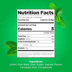 PUR Gum | Aspartame Free Chewing Gum | 100% Xylitol | Natural Spearmint Flavored Gum, 55 Pieces (Pack of 3)