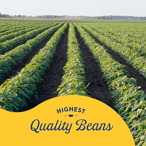 BUSH'S BEST Canned Blackeye Peas, Source Of Plant Based Protein And Fiber, Low Fat, Gluten Free, 15.8 oz
