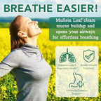 NIFEISHI Mullein Gummies for Lungs, 2000mg Mullein Leaf Extract for Respiratory & Digestive & Immune Support, Natural Herbal Supplement, Pear Flavor Gummies 60 Gummies