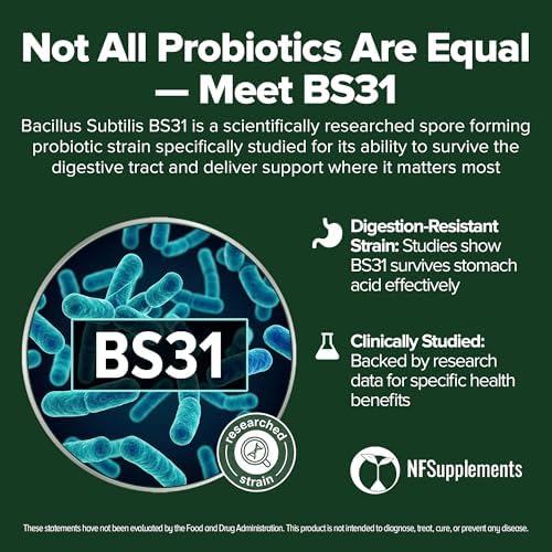 Bacillus Subtilis Probiotic 240 Tablets (4 Month Supply) – Researched Strain BS31 – 3 Billion CFU – Digestive Health & Immune Support – GMP Certified (240, Bacillus Subtilis)