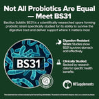 Bacillus Subtilis Probiotic 240 Tablets (4 Month Supply) – Researched Strain BS31 – 3 Billion CFU – Digestive Health & Immune Support – GMP Certified (240, Bacillus Subtilis)