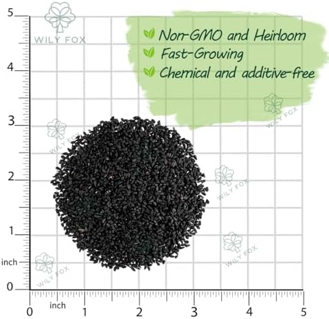 Premium Nigella Seeds for Planting (Nigella damascena) – 1000+ Heirloom, Non GMO Love in a Mist Seeds, Devil in a Bush Flower Seeds for Cottage Garden, Cut Flowers & Dried Seed