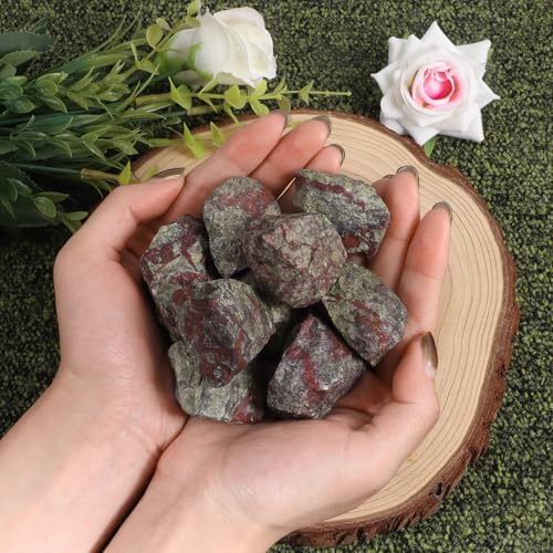 1 Lb Large Dragon Blood Natural Rough Stones Crystal Raw Dragon Blood Stone Healing Crystals Mineral Specimen for Reiki Healing Tumbling Fountain Rocks Wire Wrapping Decoration