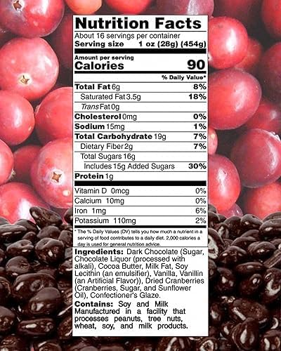 Dark Chocolate Covered Cranberries - Gourmet, Antioxidant Rich Bulk Chocolate Covered Fruit Candy Bites, by Queen City Candy Cave (1 Pound)