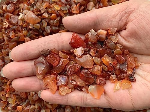 WHOLESALE Natural Semi Tumbled Carnelian Gemstone Chips, Crushed Mini Crystals, Undrilled Crystal Chips (Carnelian, 10 Pounds)