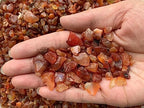 WHOLESALE Natural Semi Tumbled Carnelian Gemstone Chips, Crushed Mini Crystals, Undrilled Crystal Chips (Carnelian, 10 Pounds)