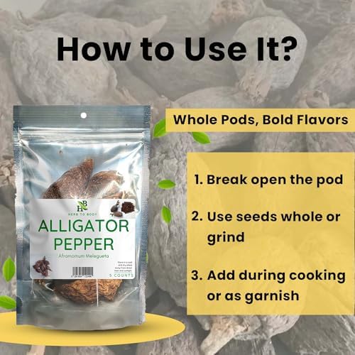 Herb To Body Alligator Pepper African – 5 Pieces, Wildcrafted Alligator Pepper from Nigeria for African Cooking and Traditional Use