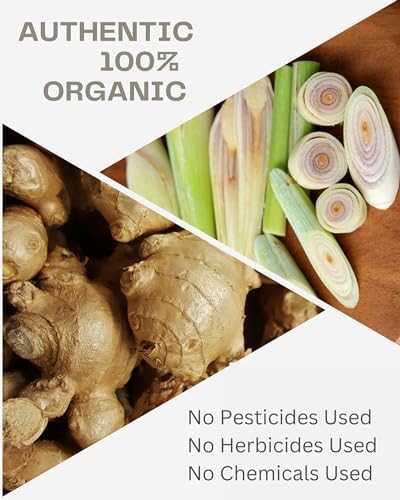 Organic Ginger Root and Lemongrass Tea Bags - Zesty Superfood Herbal Drink - Caffeine Free - 40 Natural Corn Fiber Sachets