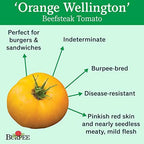 Burpee 'German Johnson' Heirloom, Large Pink Beefsteak Slicing Tomato, 30 Non-GMO Seeds