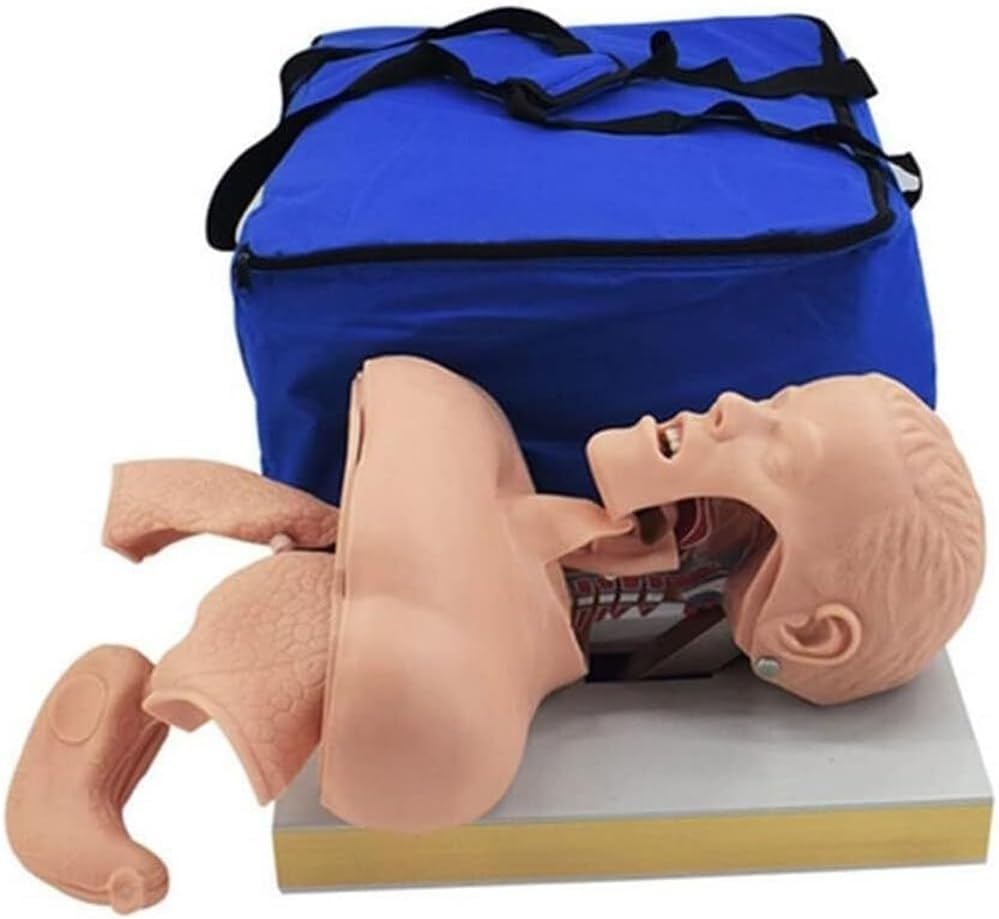 Tracheal Intubation Strain Training Simulator Model, Intubation Manikin, Intubation Head Teaching Study Manikin