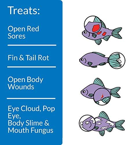 API MELAFIX Freshwater Fish Bacterial Infection Remedy 16-Ounce Bottle