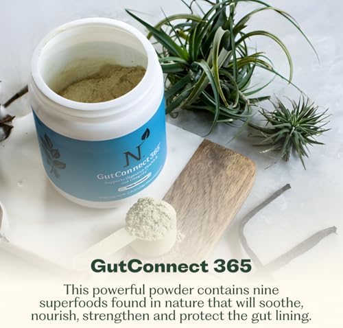 GutConnect 365 Gut Health Superfood Powder | Formulated With Slippery Elm Bark & L Glutamine | Vegan Certified | Allergen Free | Non-GMO | Soy Free | Made in the USA | 30 Servings – Vanilla Cinnamon