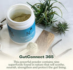 GutConnect 365 Gut Health Superfood Powder | Formulated With Slippery Elm Bark & L Glutamine | Vegan Certified | Allergen Free | Non-GMO | Soy Free | Made in the USA | 30 Servings – Vanilla Cinnamon