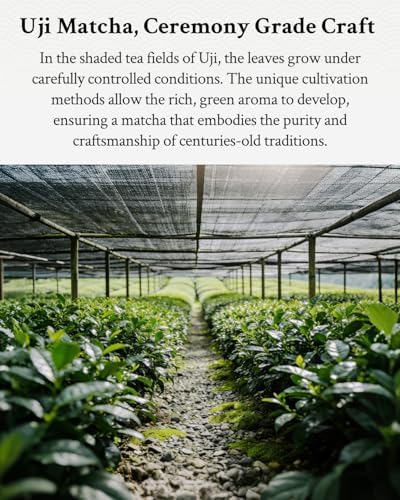 HAYASHIYA Matcha Powder Ceremonial Grade in Tin - Organic Japanese Green Tea from Kyoto 30g - First Harvest Stone-Ground for Lattes, Smoothies, Baking - Superfood Antioxidant Clean Energy Boost