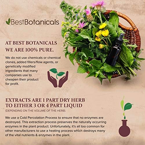 Best Botanicals Wild Yam Root Cut 16 oz.