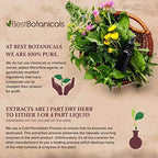 Best Botanicals Wild Yam Root Cut 16 oz.