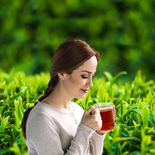 SANRAN Puerh Tea Cake, Aged Ripe Pu Erh Tea, Chinese Yunnan Puer Tea Cake, 12.6oz/Pack
