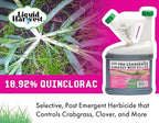 Pro Crabgrass & Grassy Weed Killer - 18.92% Quinclorac (Compare to Drive XLR8) – Concentrated Professional Crabgrass Herbicide – Quick Drying with Residual Control - 64 Ounces