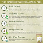 SPICY ORGANIC Green Cardamom Pods – 2 oz - Whole Cardamon Seeds for Authentic Spice Flavor, Natural Cardamon Pod for Tea, Cooking, and Baking- USDA Certified Organic, Gluten-Free, Non-GMO and Kosher