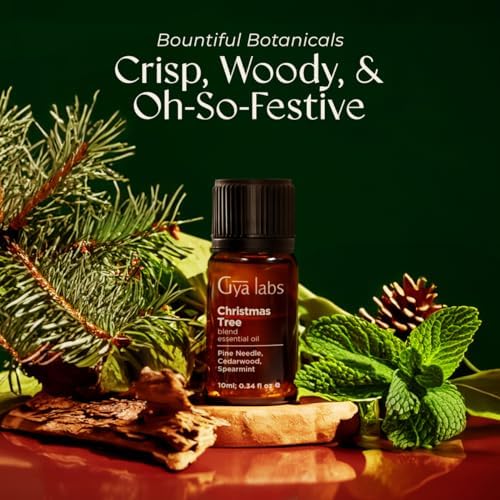 Gya Labs Christmas Tree Essential Oils Blends - 0.34 Fl Oz - for Diffuser, Home, Humidifier, Aromatherapy and DIY Candle Making Scents