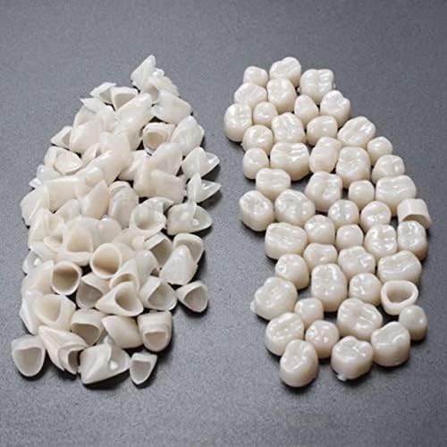 New 2 Packs Dental Temporary Crown Material for Anterior + Molar Teeth Veneers