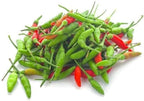 Fresh Thai Chile Peppers, 1 lb Bag, Mixed Red and Green, Whole Raw Chilis for Asian Cooking