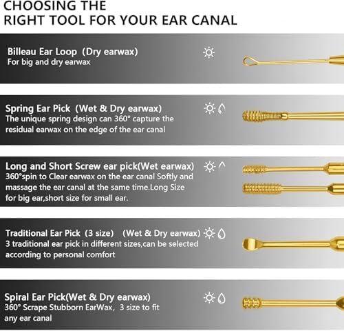 Hion 6 Pcs Extended Ear Wax Removal Kit,Professional Double-Headed Ear Pick Earwax Removal Tools,316L Stainless Steel Ear Cleaner Curette with Cleaning Brush and Storage Box,Suit for Kid Adult(Gold)