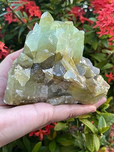 GAF TREASURES Extra Large Green Calcite Rough Natural Stones, Raw Calcite Green Crystals (0.25-0.5 Pounds)