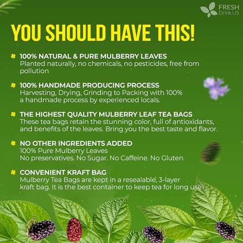 FreshDrinkUS, Premium 120 Mulberry Leaf Tea Bags, 100% Natural & Pure from Mulberry Leaves. Loose Leaf Herbal Tea. Made with Natural Material Tea Bags. No Sugar, No Caffeine, No Gluten, Vegan.