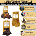 Wildcrafted Sea Moss | Gold - Purple - Mixed | 100% Natural Irish Moss from St.Lucia | Mineral-Rich Superfood | 16oz Sun-Dried Moss | NO Preservatives NO Chemicals (Mixed, 1 Pound)