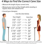 Asterom Walking Cane - Handmade Lion Canes for Men & Women - Wooden, Stylish, Cool Walking Sticks for Men, Seniors