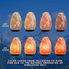 7 Inch Himalayan Salt Lamp with Dimmer Cord - Night Light Natural Crystal Rock Classic Wood Base Authentic from Pakistan