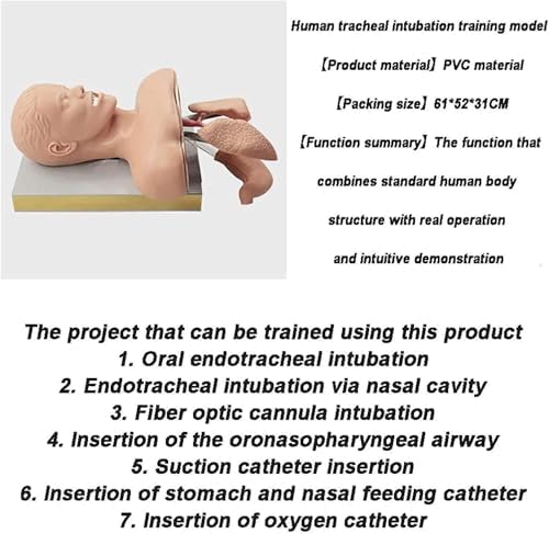 Tracheal Intubation Strain Training Simulator Model, Intubation Manikin, Intubation Head Teaching Study Manikin