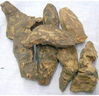 CHOBCHINI-CHOPCHINI-CHINA ROOT-SMILAX GLABRA (50 Gms)