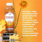 SYNERGY The Real Kombucha - Gingerade - 16 fl oz Bottle - Raw Probiotic Drink for Gut Health and Immune Support