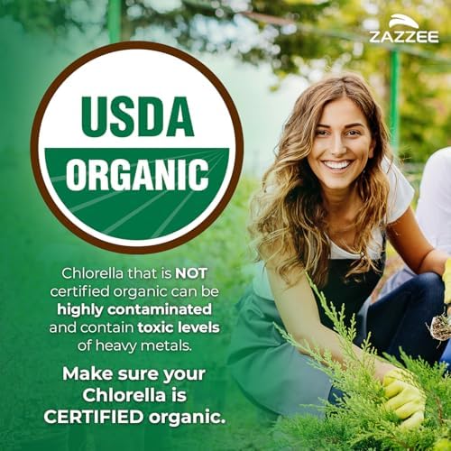 Zazzee USDA Organic Chlorella Powder, Broken Cell Wall, 6 oz, 85 Servings, Free Scoop Included, 100% Pure, 20:1 Extract, Nutrient-Dense Superfood, Green Algae Powder, All-Natural, Non-GMO, Made in USA