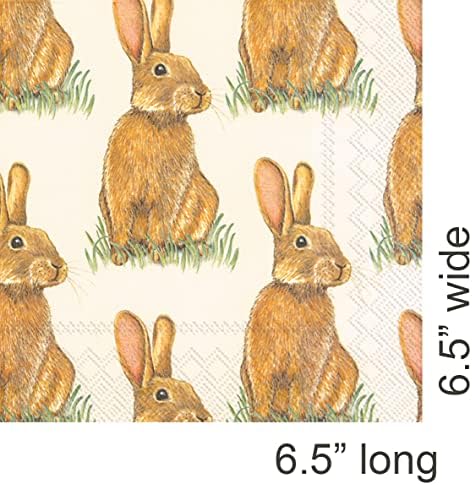 IHR Ideal Home Range 3-Ply Lunch Size Paper Party Napkins, 20-Count, 6.5" x 6.5", Eddie