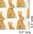 IHR Ideal Home Range 3-Ply Lunch Size Paper Party Napkins, 20-Count, 6.5" x 6.5", Eddie