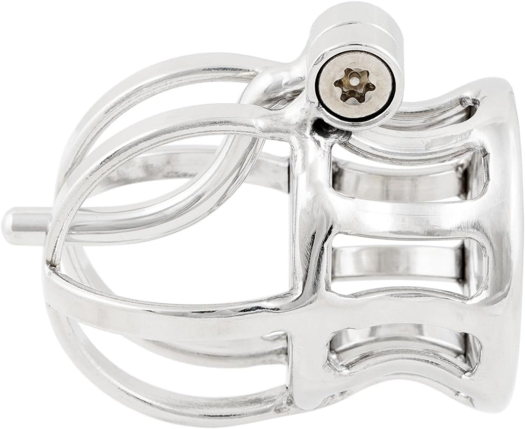 Ternence Male Chastity Device Stainless Steel Penis Piercing PA Puncture Lock Adult Penis Lock Cock Cage Ring YJ-001