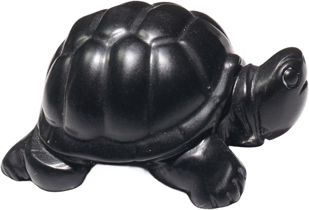 RICHRAIN Shungite Crystals Shungite Stones Feng Shui Turtle Carving for Home or Office Desk Decor