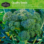 Broccoli Seeds for Planting – 3 Variety Pack – Calabrese, Romanesco, Waltham 29 Heirloom Non-GMO Broccoli Varieties | Cool-Weather Crop for Fall & Spring Gardens – Survival Garden Seeds