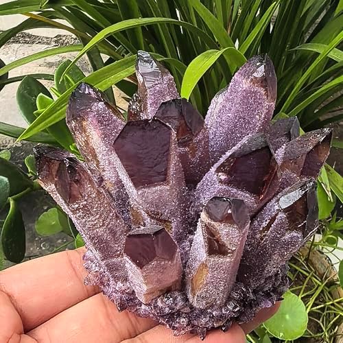 Crystal Cluster Electroplate Natural Quartz Mineral Specimen for Home Decor,Reiki Healing, February Birthstone Gift (Amethyst)