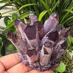 Crystal Cluster Electroplate Natural Quartz Mineral Specimen for Home Decor,Reiki Healing, February Birthstone Gift (Amethyst)