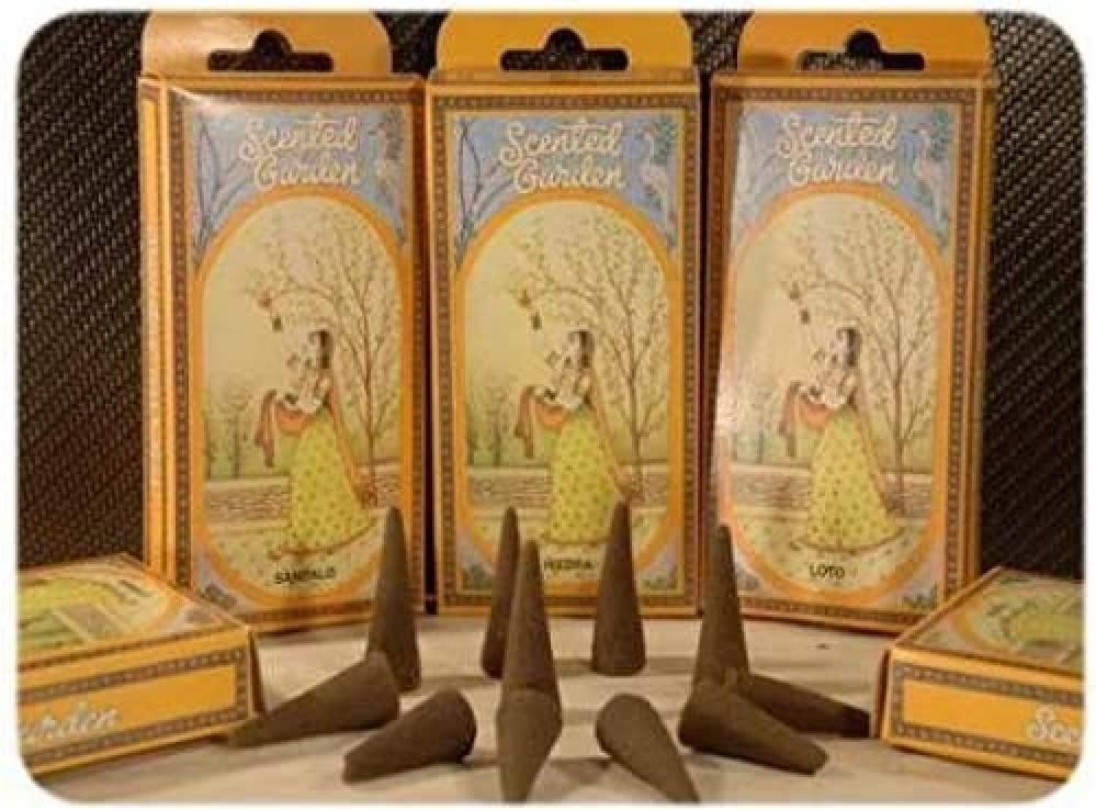 RADHE SHYAM Essence for Home, 1 Pack (1 x 100 g)