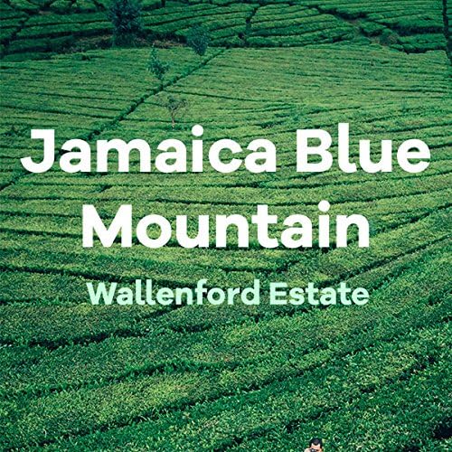 Jamaica Blue Mountain Coffee, Wallenford, Whole Bean, 100% Certified Fresh Roasted, 16-ounce