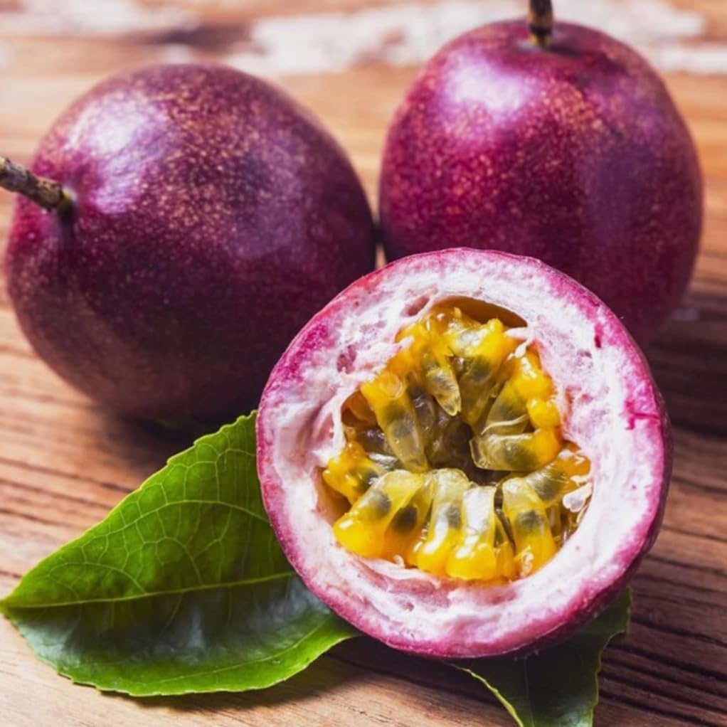 30PCS Purple Passion Fruit Seeds Passiflora Edulis Vine Passion Flower Seeds