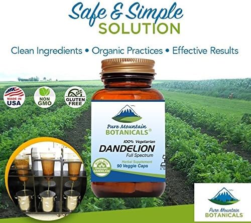 Pure Mountain Botanicals Dandelion Root Capsules - Kosher Vegan with 450mg Organic Dandelion Root Supplement