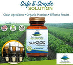 Pure Mountain Botanicals Dandelion Root Capsules - Kosher Vegan with 450mg Organic Dandelion Root Supplement